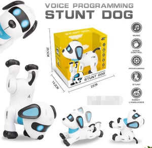 Voice Programming Stunt Dog Robot (UAE)