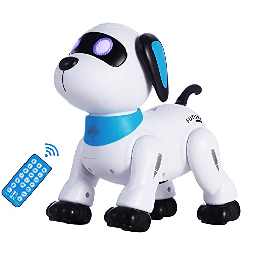Voice Programming Stunt Dog Robot (UAE)